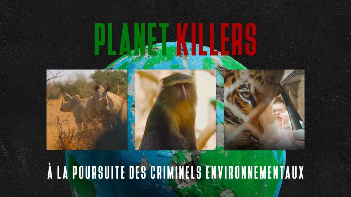 planet killers