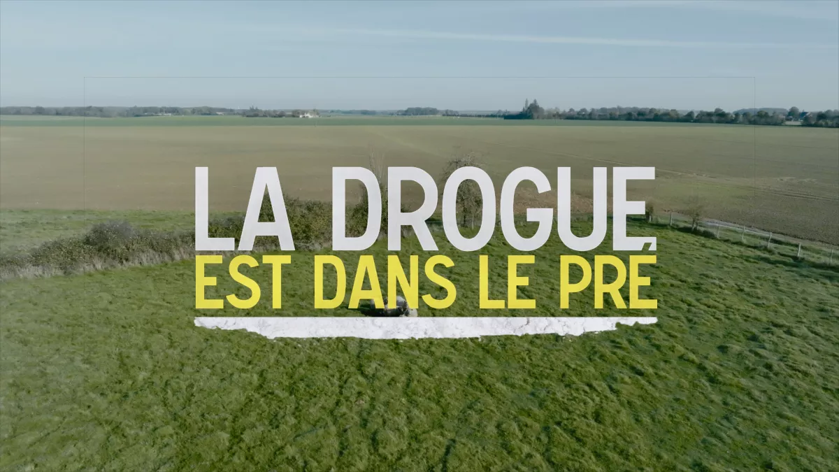 La drogue est dans le pré