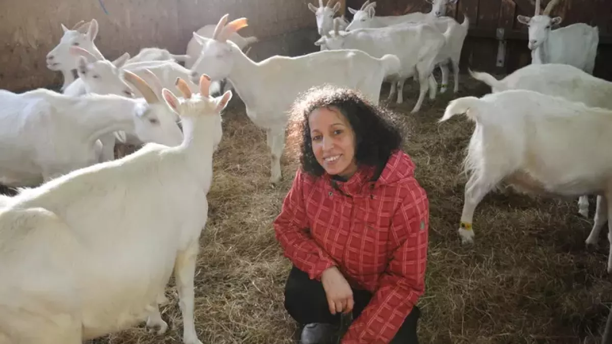 Leïla, une vie à Miquelon