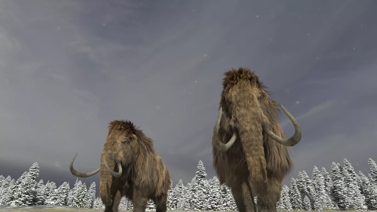 Lost beasts