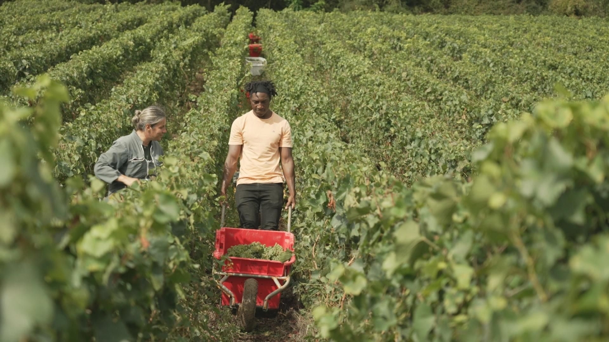 LES GENS DES HAUTS SUR LE CHAMPAGNE