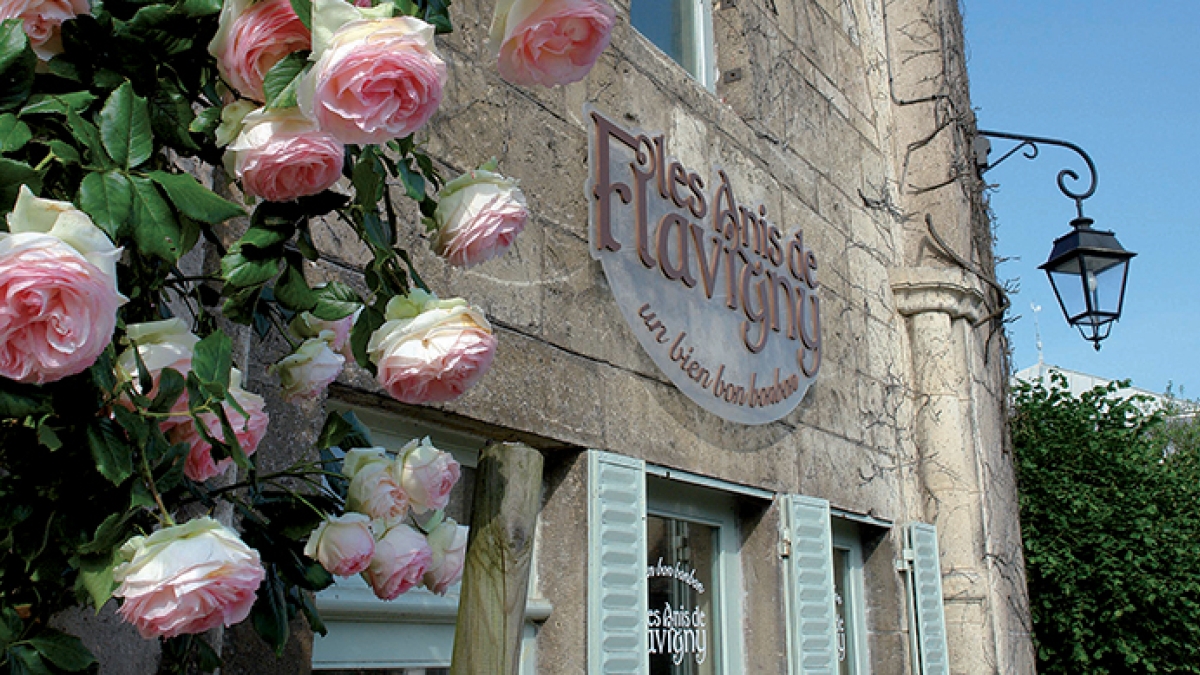 La Tête à l'Endroit à Flavigny