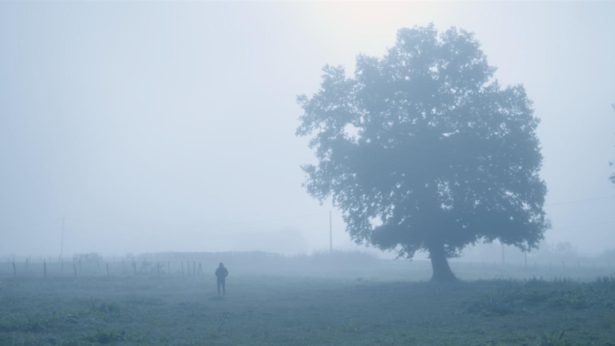 La conspiration du silence