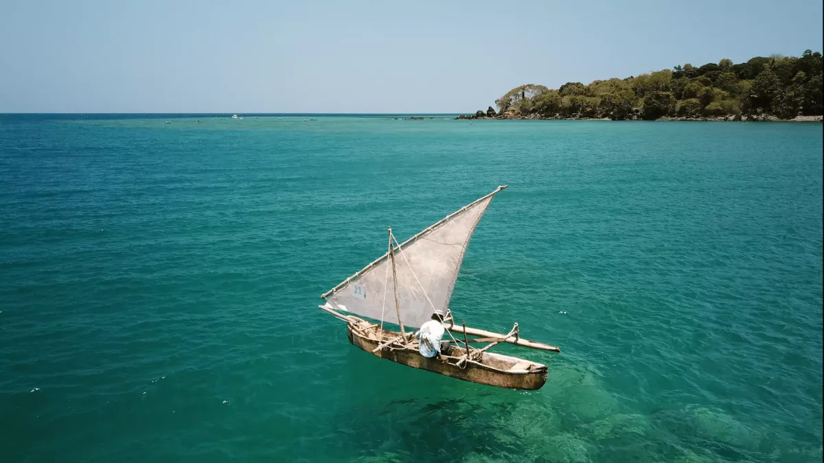 Les engagés de l’île aux parfums © La Cerise sur le Gâteau Prod Les engagés de l’île aux parfums © La Cerise sur le Gâteau Prod