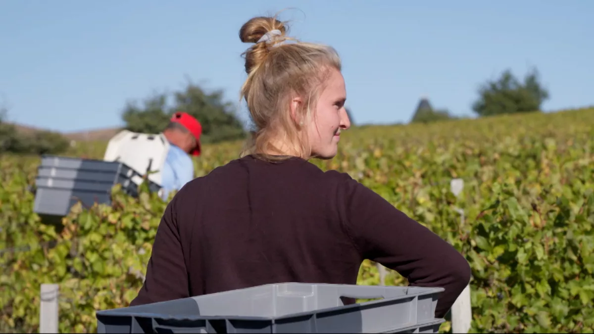 Les vignerons du vivant