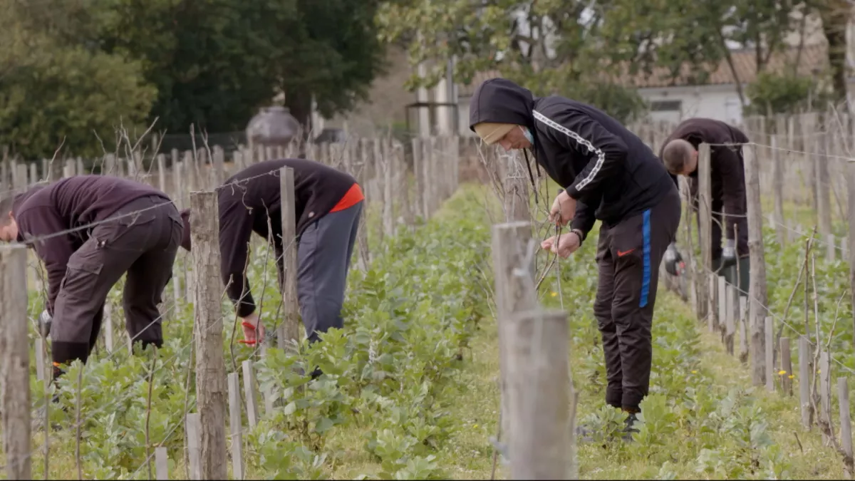 Les vignerons du vivants Les vignerons du vivants