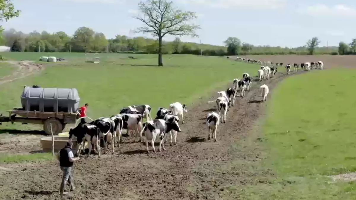 Le sens de la terre