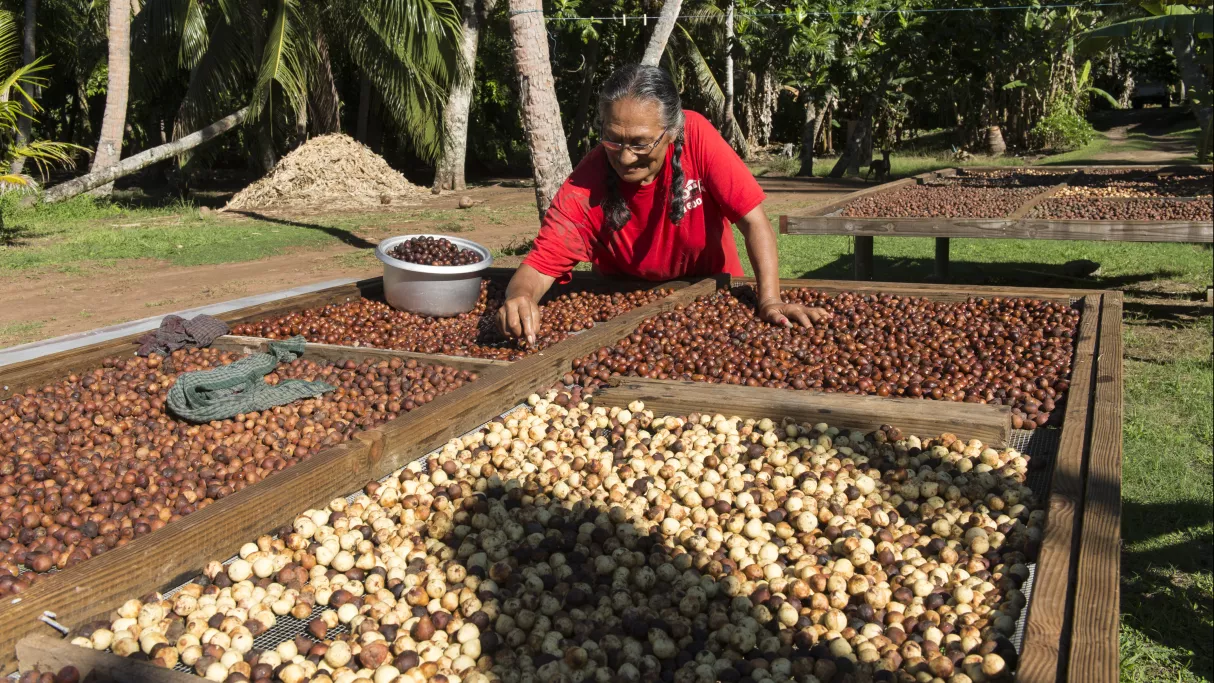 La Maison de la Vanille à Poutoru