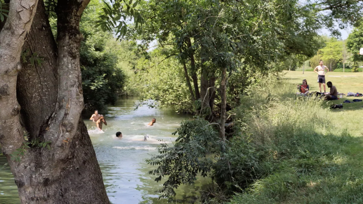 Ni mauvaises herbes, ni mauvais hommes