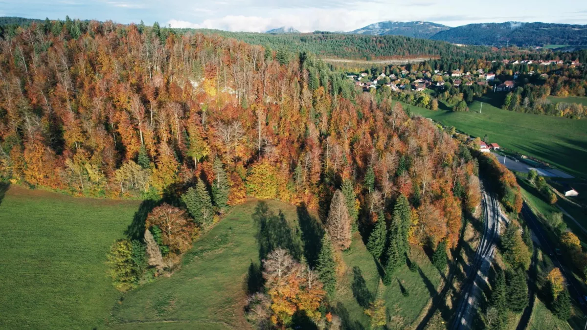 jura