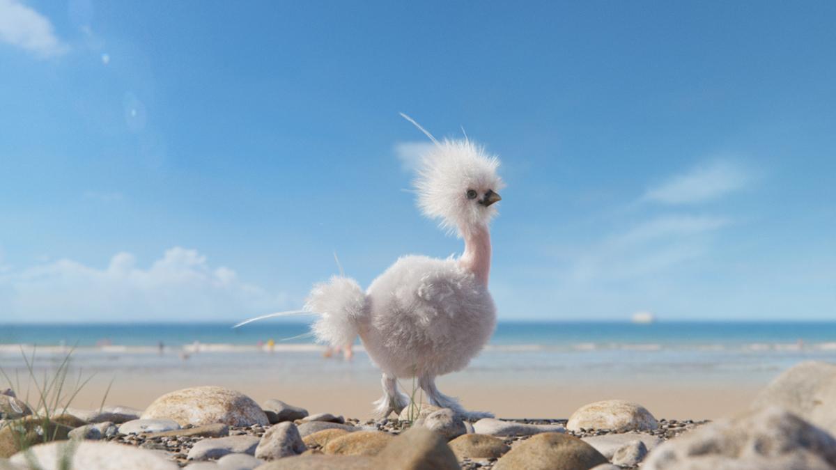 Poule à la plage