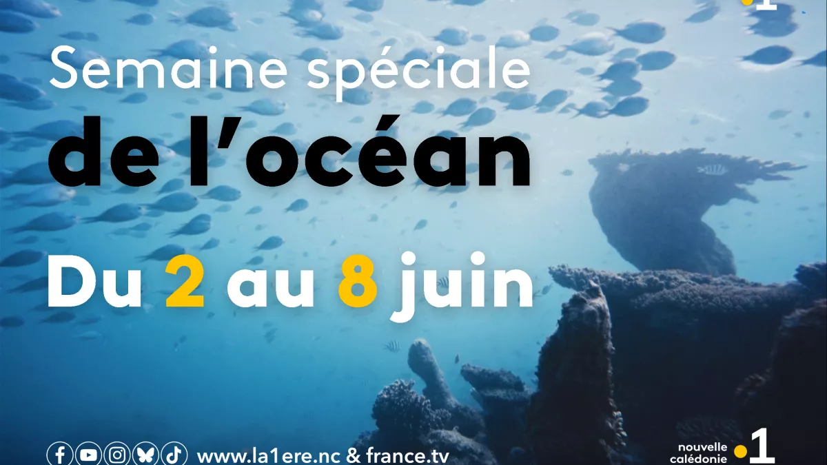 SEMAINE SPECIALE DE L'OCEAN
