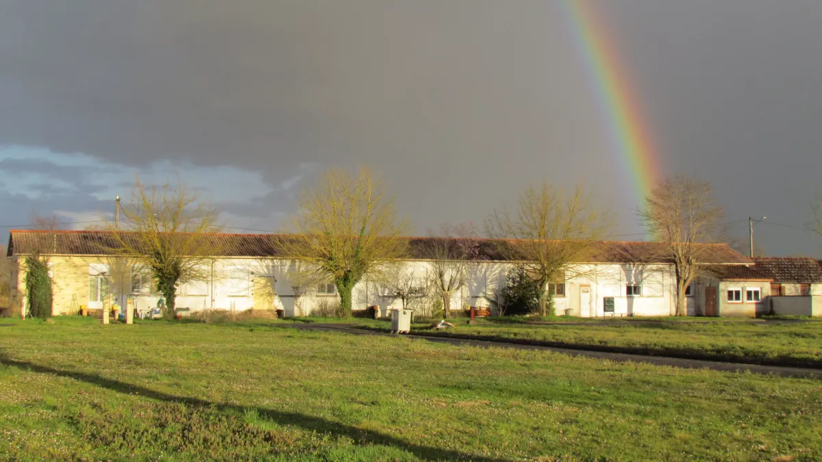 Bias le camp du mépris
