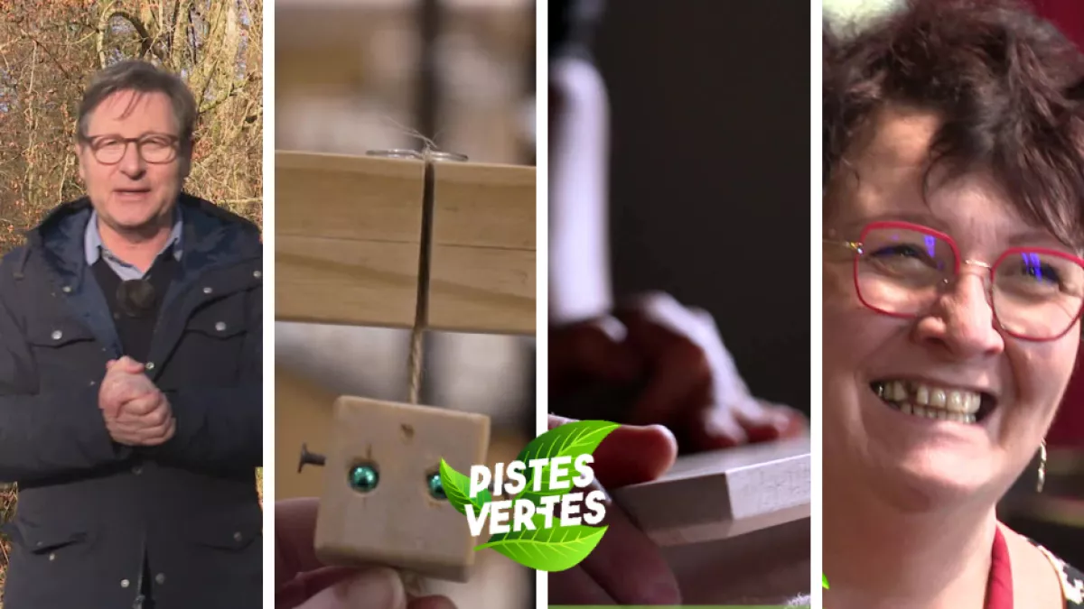 Piste Verte numéro 25