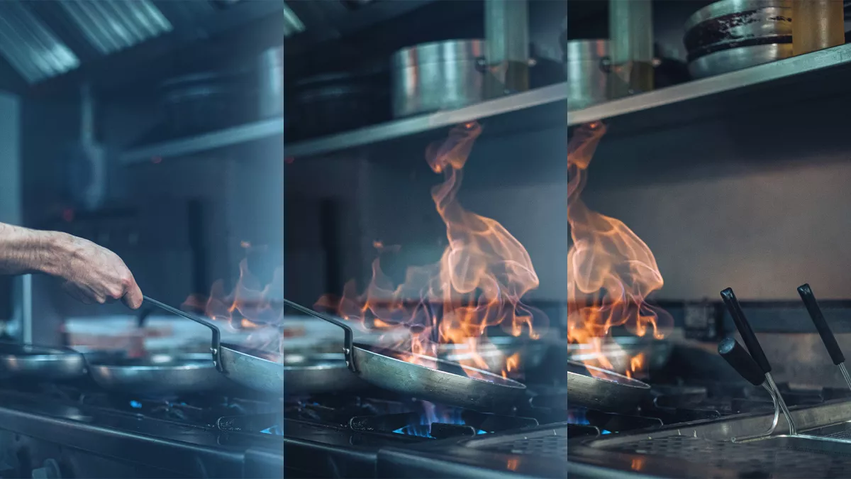 Société, cuisine et découverte sur ViaStella