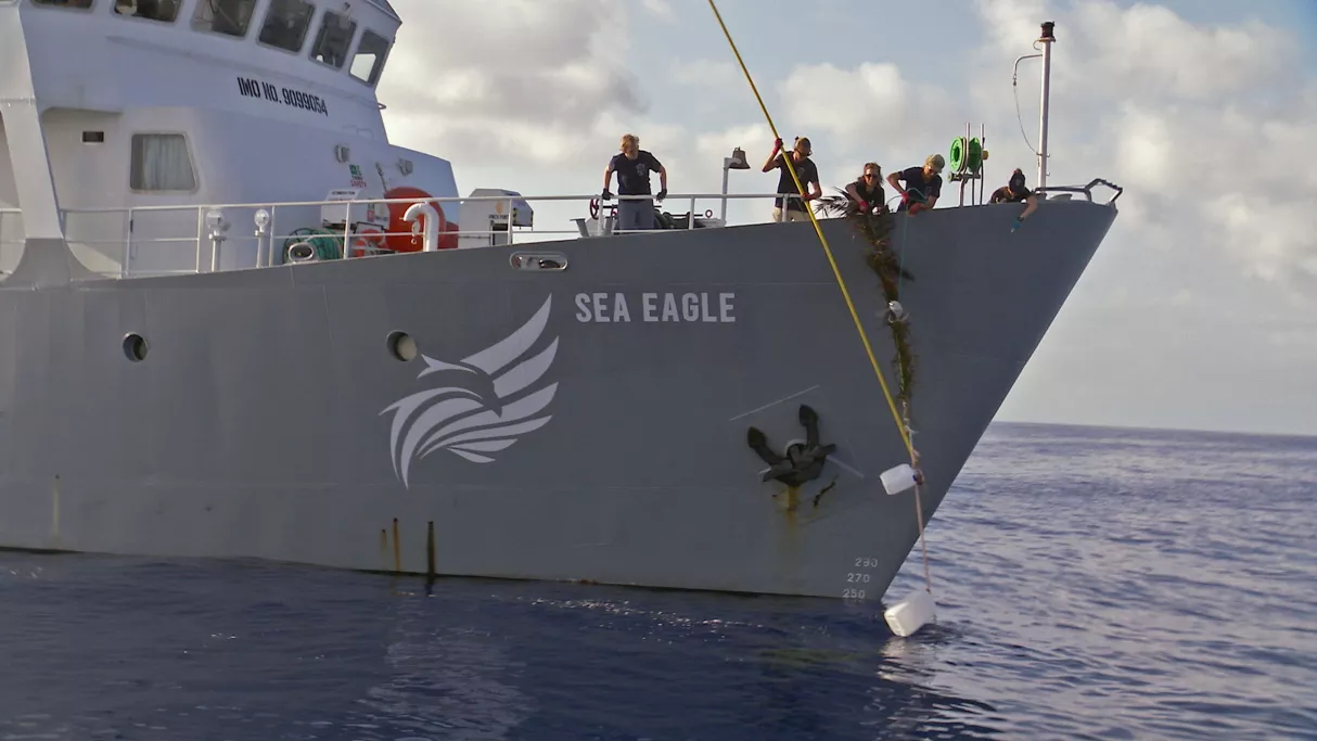 Un bateau de Sea Shepherd - Documentaire "Les sentinelles de la mer"