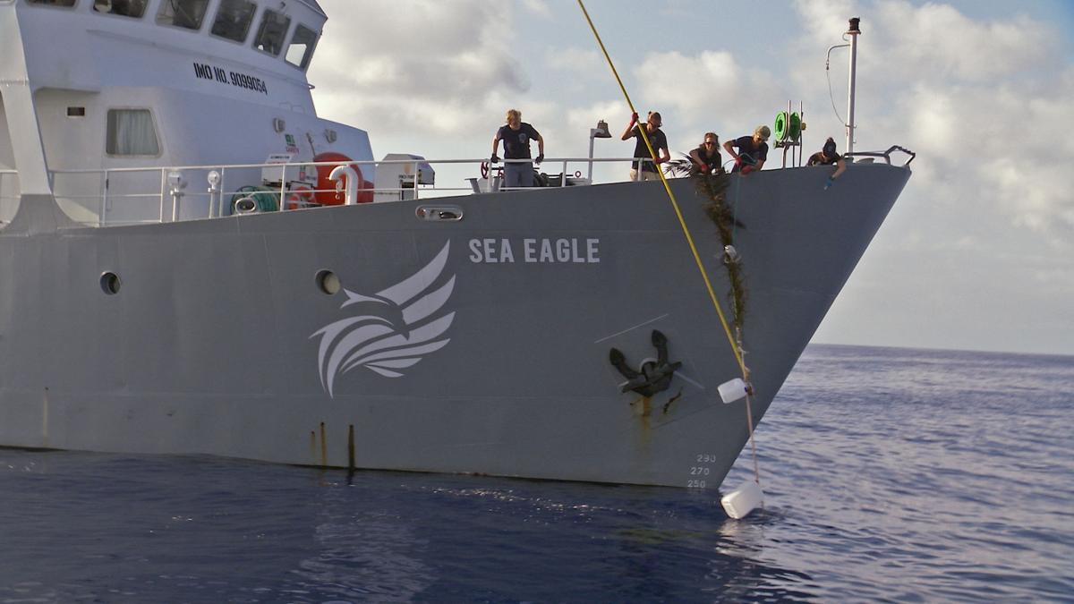 Un bateau de Sea Shepherd - Documentaire "Les sentinelles de la mer"