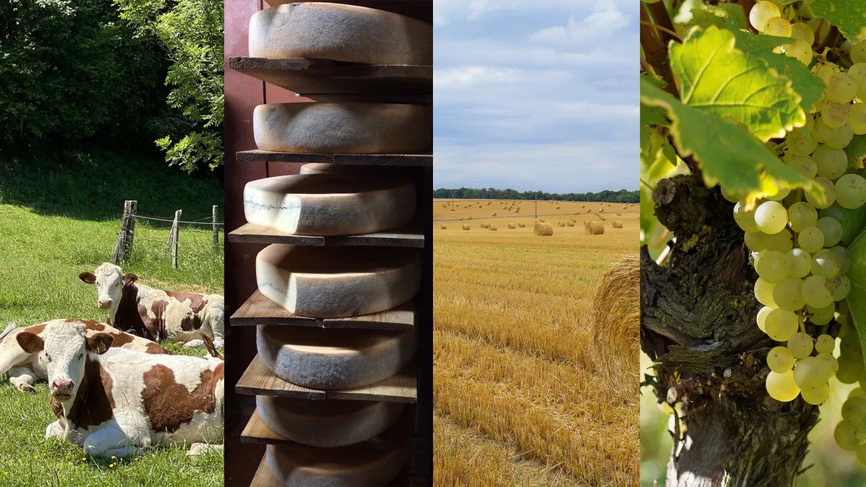 Salon de l'agriculture