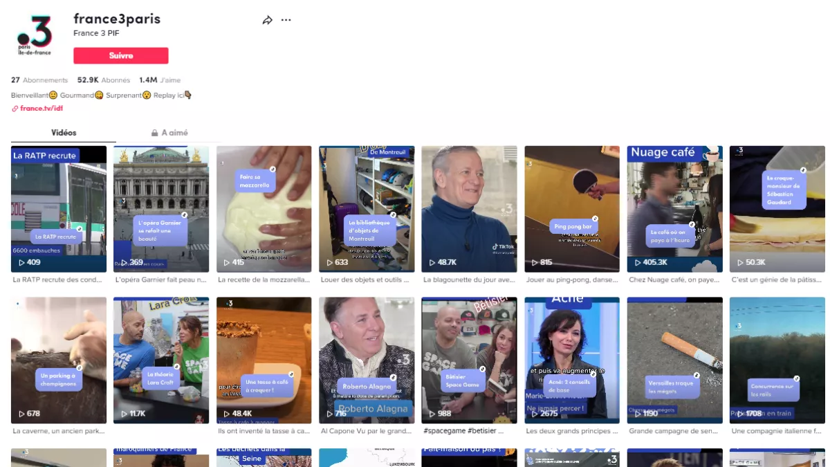 TikTok France 3 PIDF
