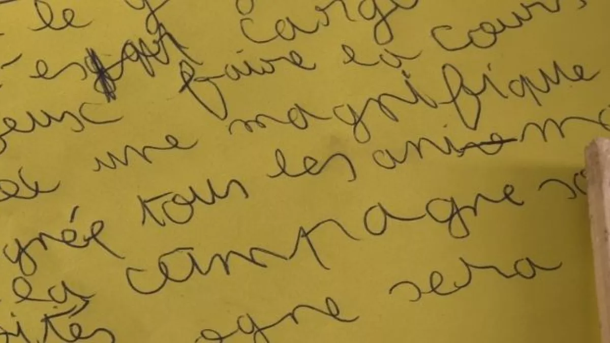 PAPIONS EN AVIER Ecriture enfants