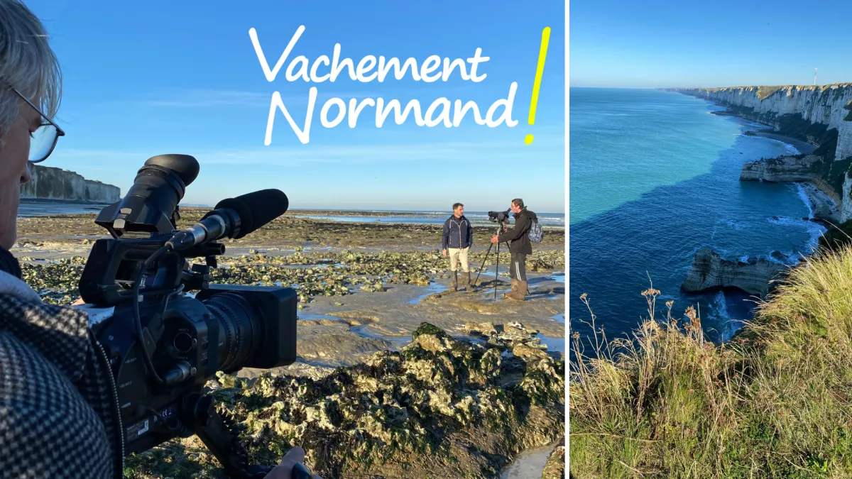Vachement Normand Côte d'albatre Vachement Normand Côte d'albatre