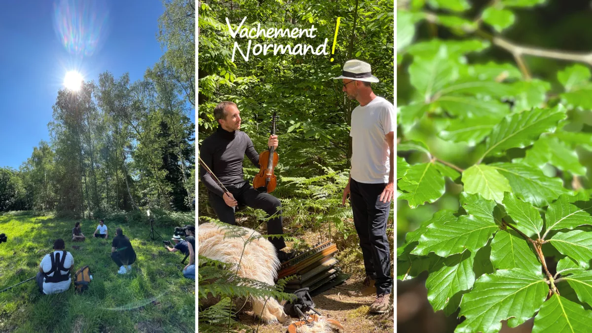 Vachement Normand