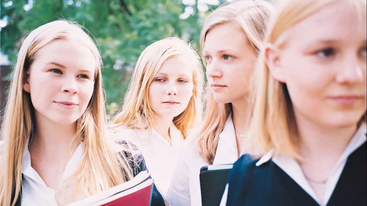 Virgin Suicides