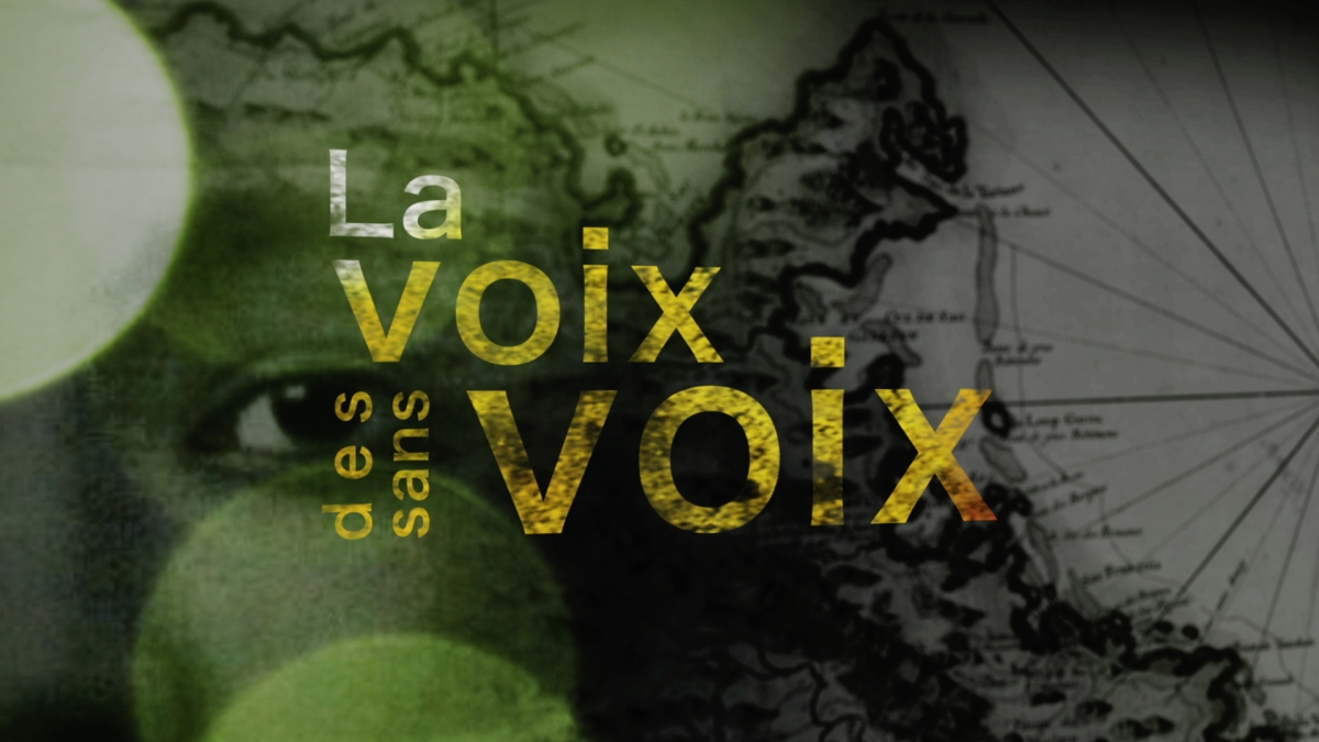 Webdocumentaire : La voix des sans voix