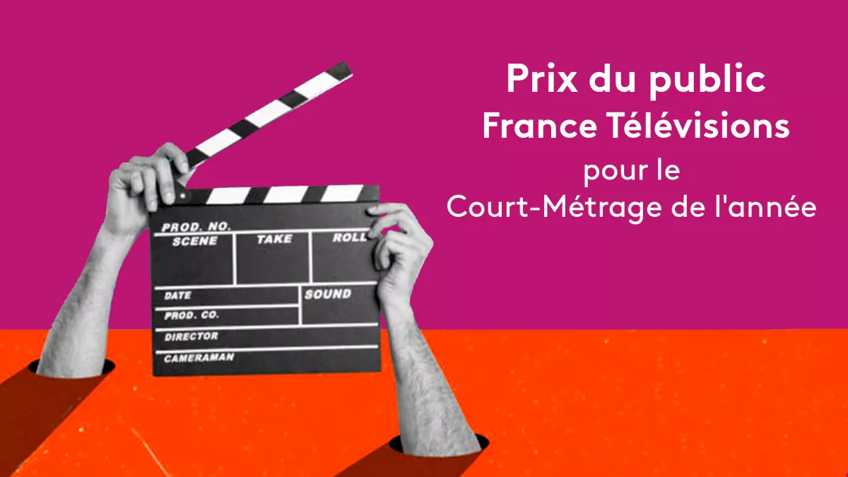 Visuel Prix du Public France TV