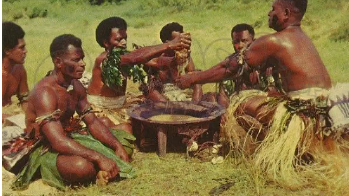 Le voyage du Kava
