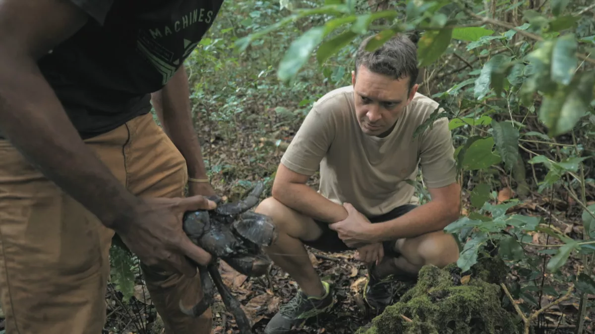 Wild Food