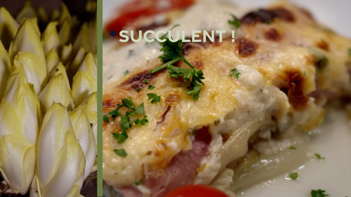 Succulent ! - Recette et trésors autour des endives, chicons, perles du Nord - CREDIT FTV Succulent ! - Recette et trésors autour des endives, chicons, perles du Nord - CREDIT FTV