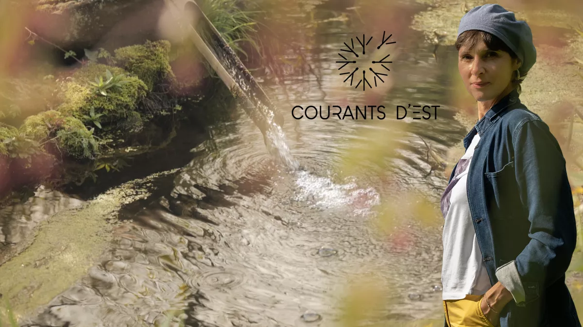 Courants d'Est - Carine Aigon - Au royaume du zen Courants d'Est - Carine Aigon - Au royaume du zen