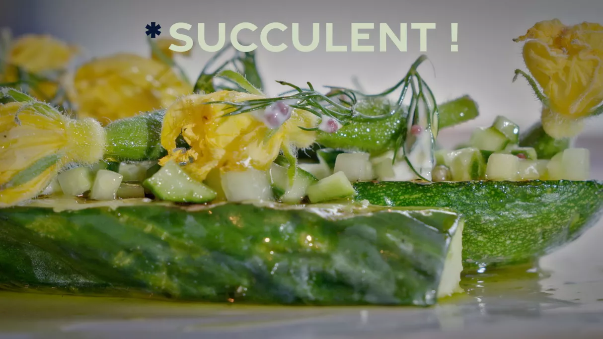 Succulent ! Cornichon - crédit FTV
