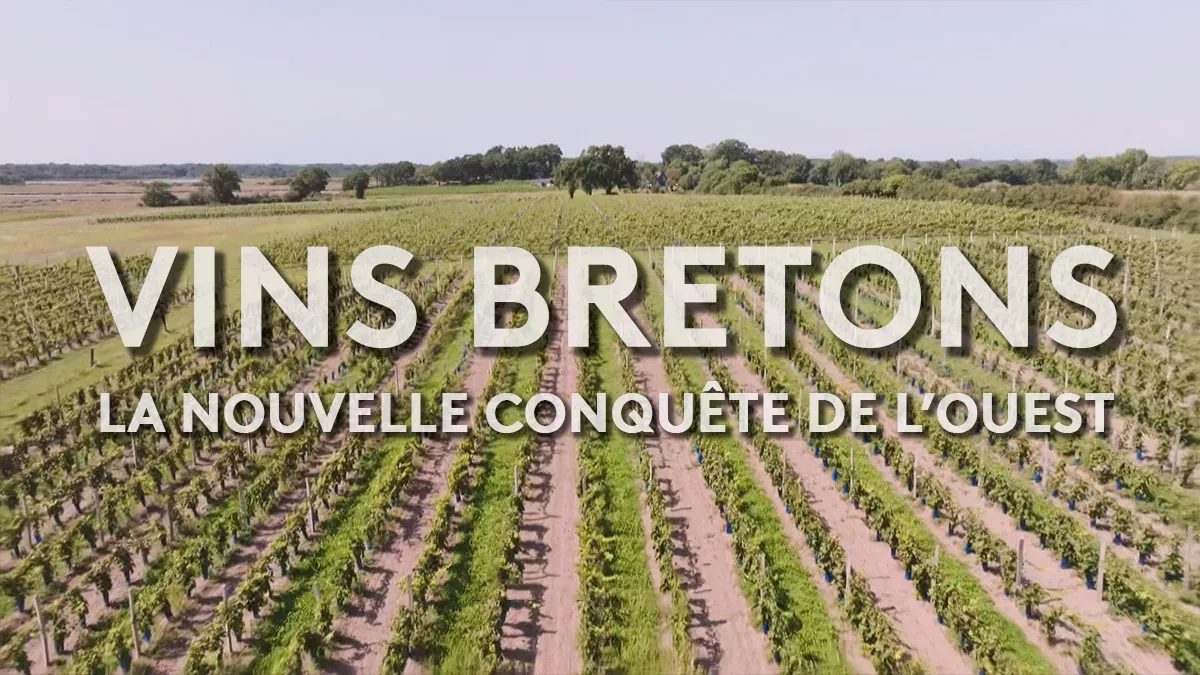 © vins bretons, la conquête de l'ouest - FTV