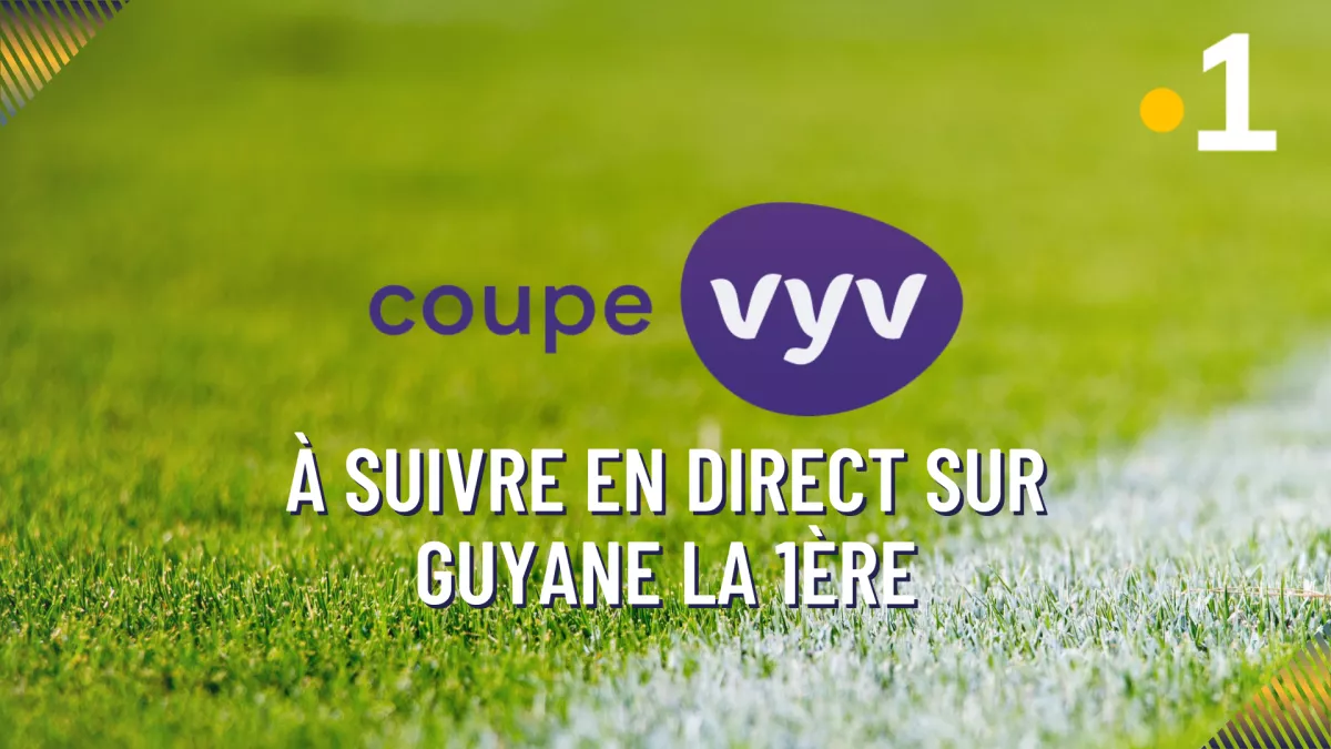 vyv
