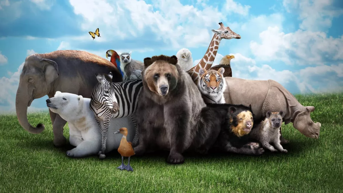 Génies de la nature Les animaux ont des façons bien particulières de communiquer. Leurs méthodes sont souvent imperceptibles par les autres espèces pour se protéger des prédateurs.