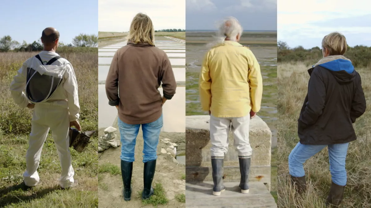 Oléron les sentinelles de la nature