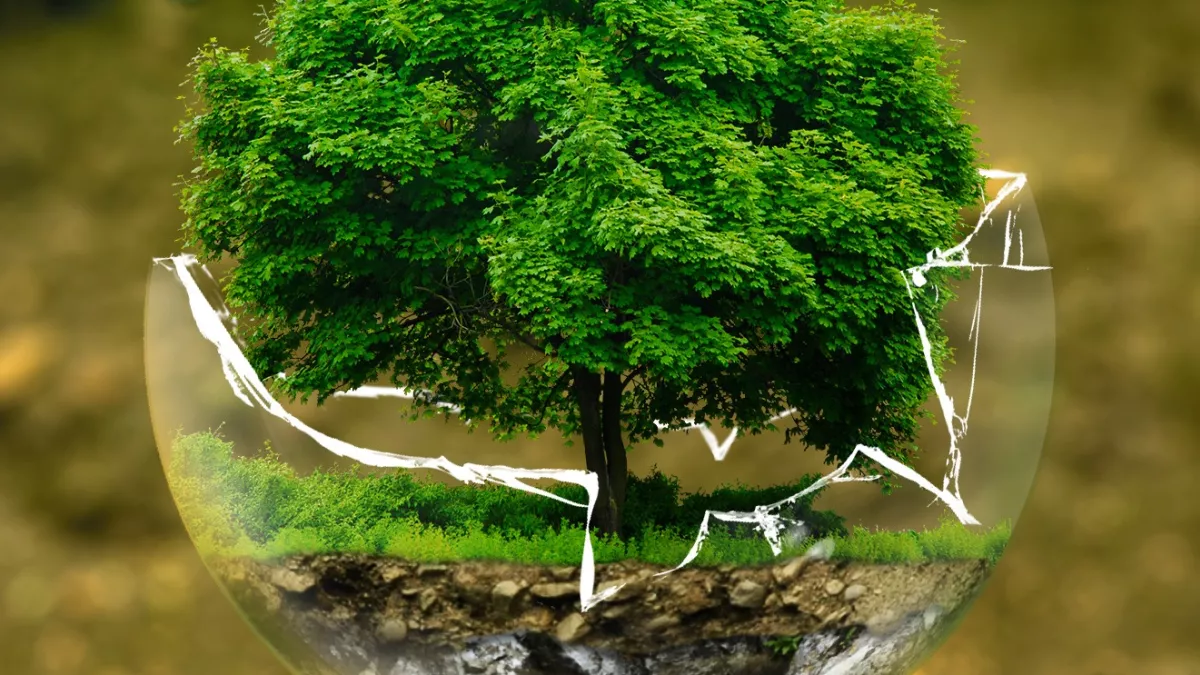 Environnement Environnement