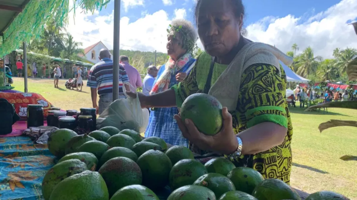 fête de l'avocat à Maré
