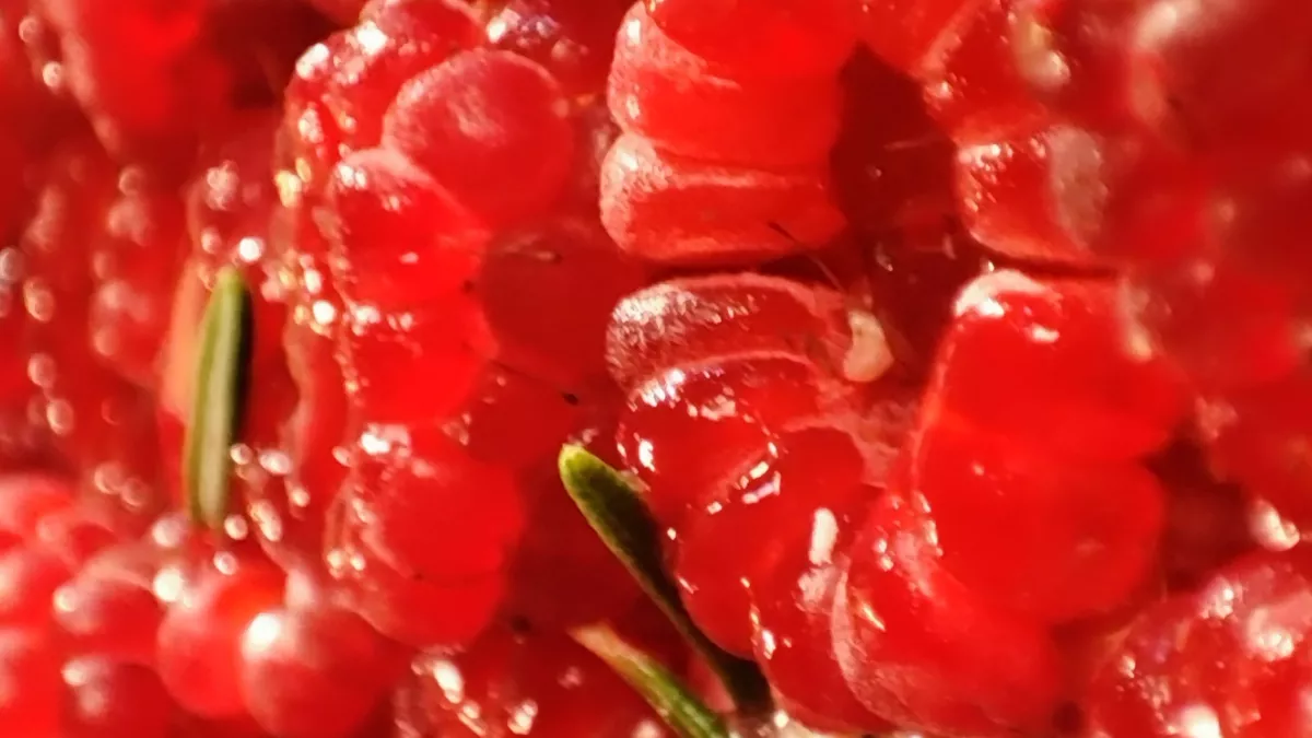 Framboises et romarin Framboises et romarin