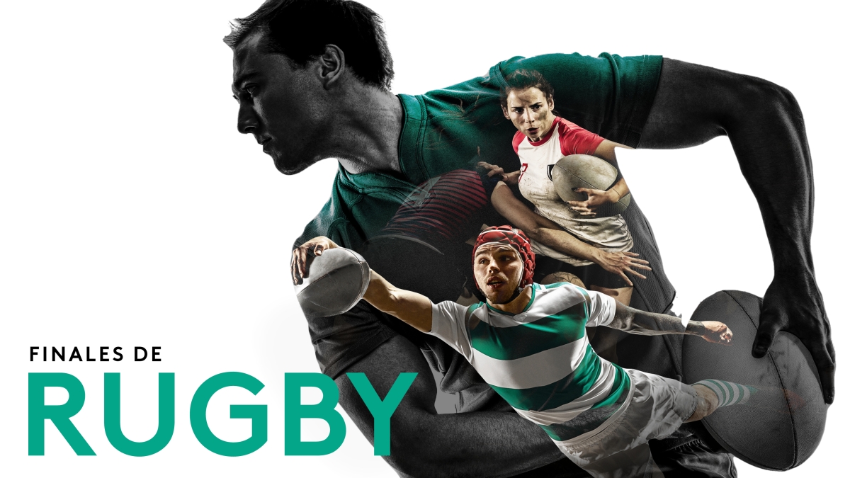 rugby