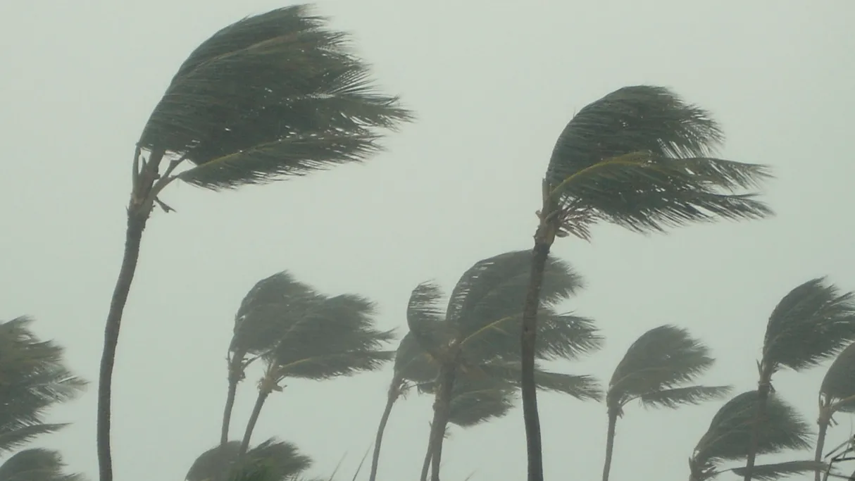 Cyclone
