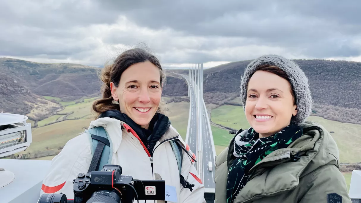 Ô la belle vie - Millau : un viaduc pour décor 