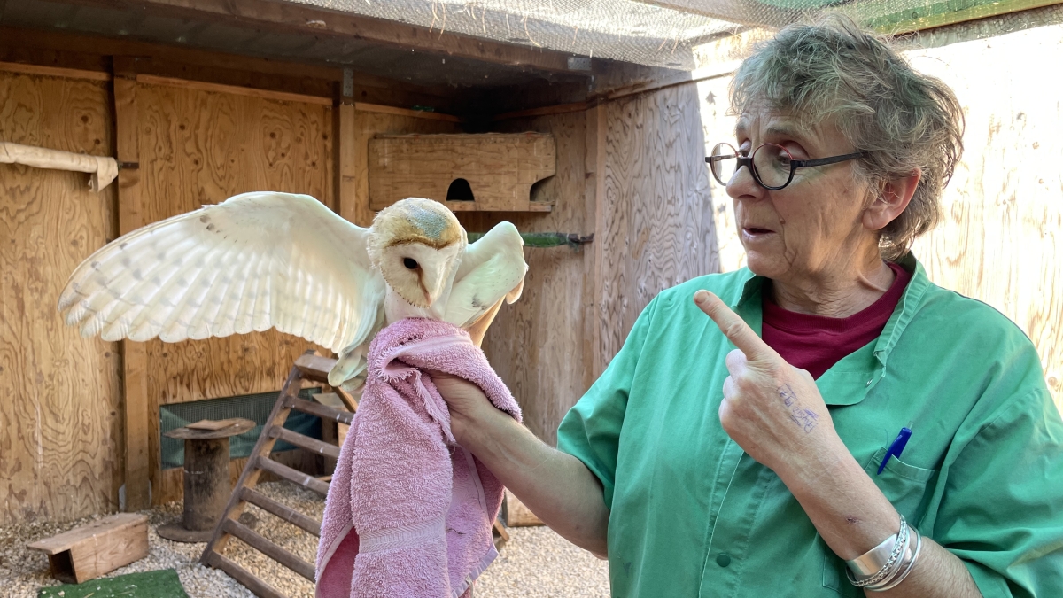 Ô la belle vie - Cévennes sauvages : les gardiens de la biodiversité