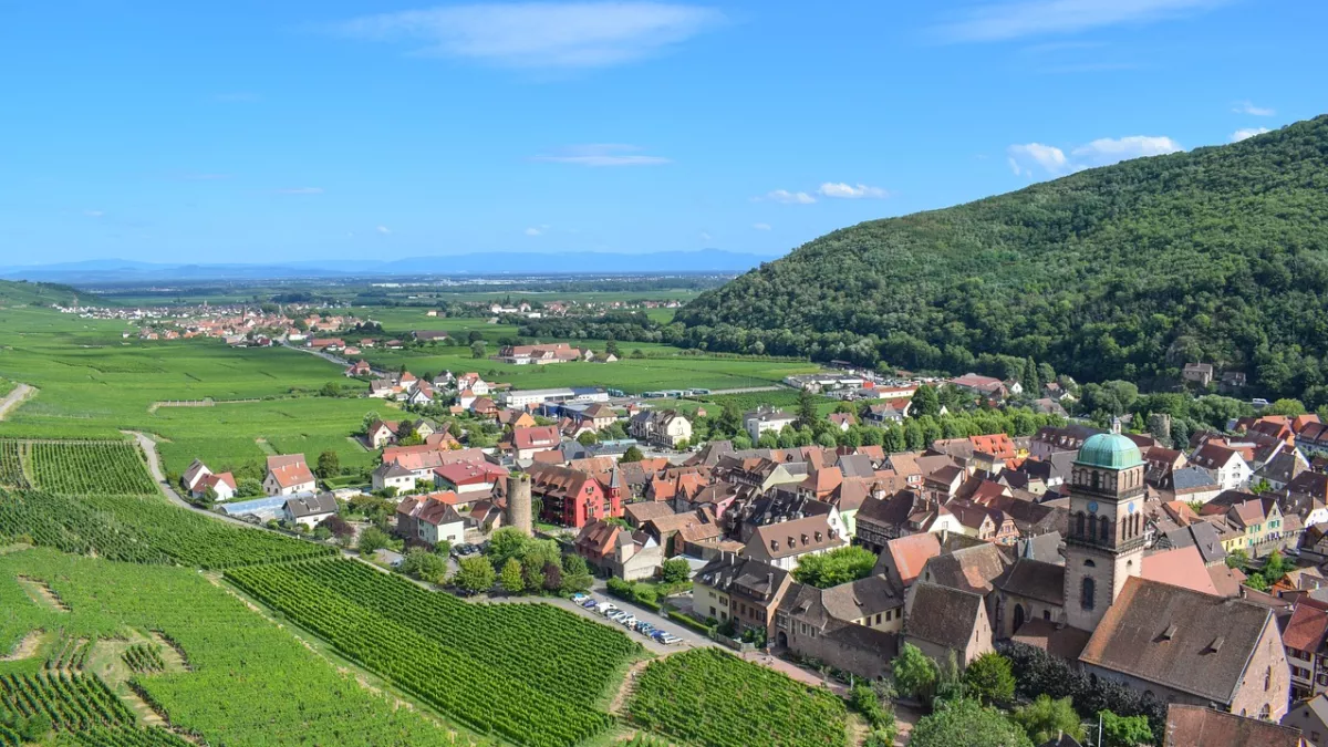 les 70 ans de la Route des vins - Kaysersberg et alentours -CREDIT Ben_Kerckx 70 ans de la Route des vins - terroirs et vignes - Kaysersberg et alentours
