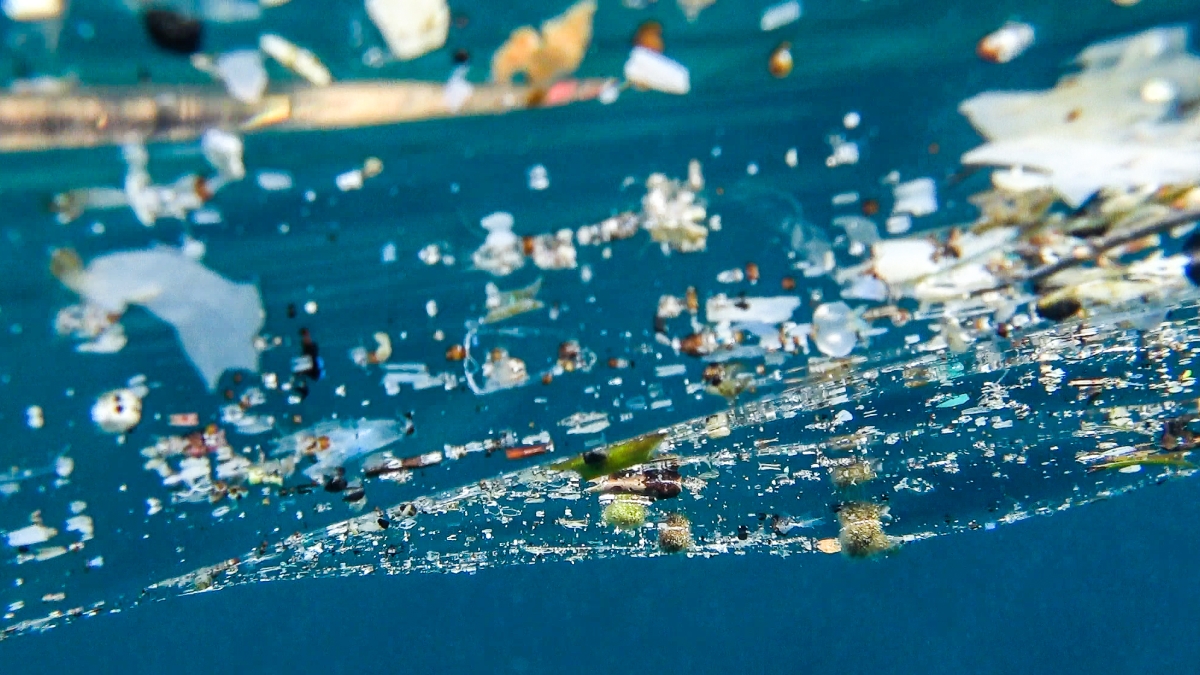 "La mer plastique" "La mer plastique"