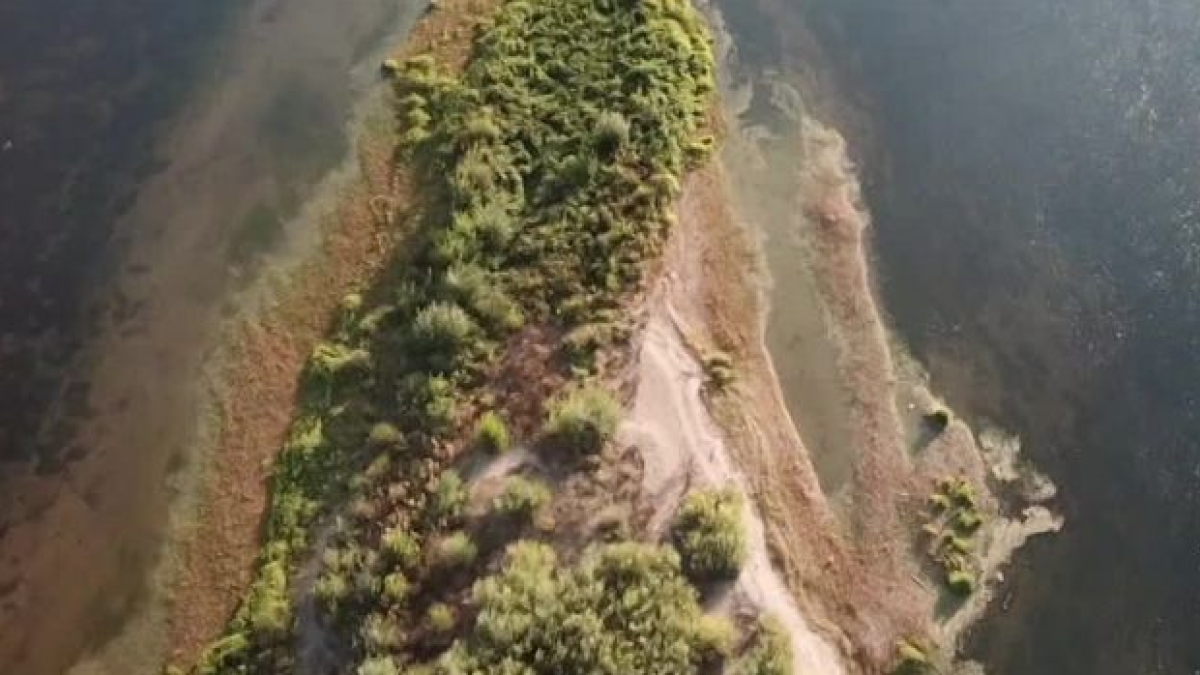 Les lanceurs d'alerte de la Loire Les lanceurs d'alerte de la Loire