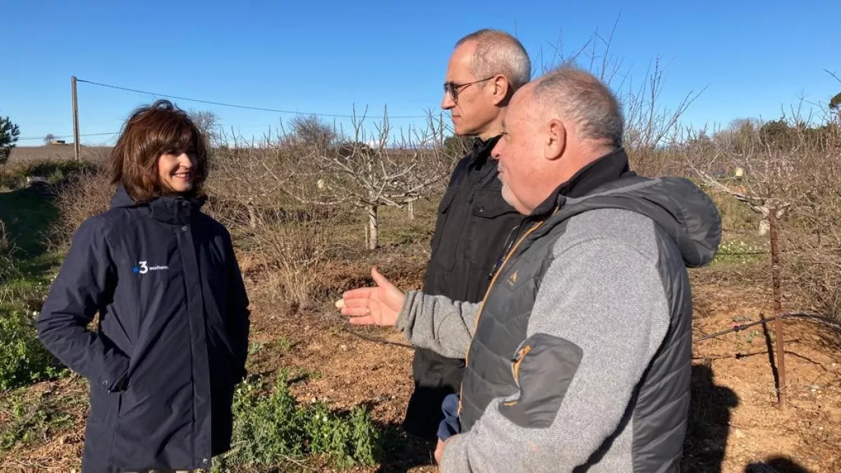Dimanche en Politique - changement climatique et agriculture