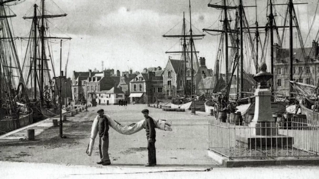 Dans le sillage des Terre-Neuvas 